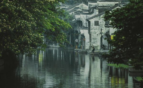 春雨直播app